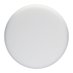 [2608612024] Esponja Bosch de pulido blando 170mm blanco